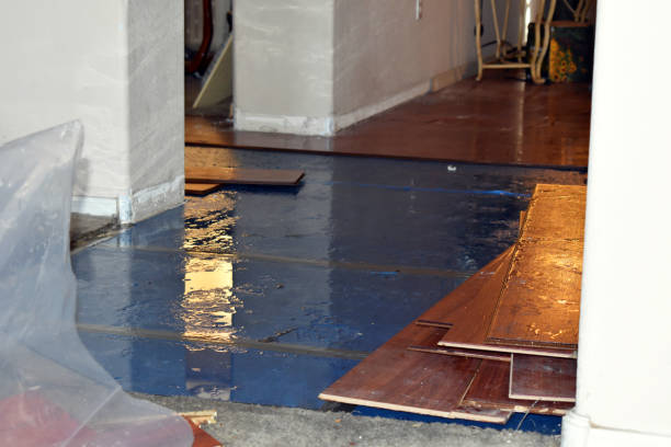 Professional Basement Flood Cleanup technician working in Tavernier, FL
